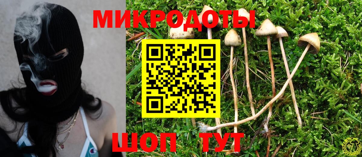 Мичуринск  Галлюциногенные грибы Psilocybe  Вход с VPN  Псилоцибиновые грибы GOLDEN TEACHER 