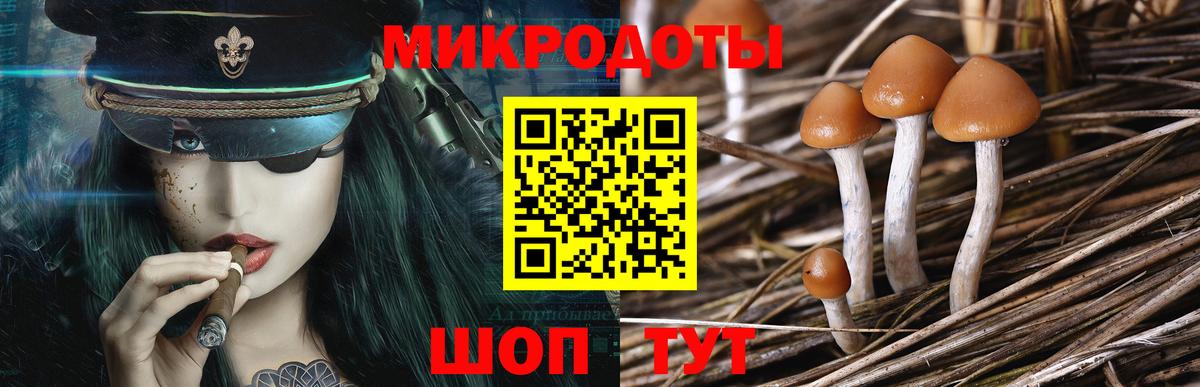 Псилоцибиновые грибы GOLDEN TEACHER Мичуринск